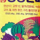 허니비료 이미지