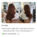 미노헤어 이미지