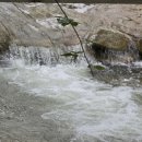 고덕펜션 이미지