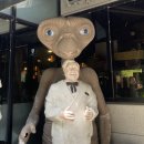 일홍 | 춘천맛집 중국집 일홍 내돈내산 후기 탕수육 강추