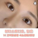 한신할인마트 | 대전 선화동 속눈썹펌 뷰티스튜디오 담은