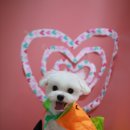 견사무소 호텔 유치원 이미지