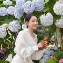 채움부동산중개사무소 이미지