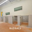 쉐이크테일 강아지 애견 유치원 호텔 미용 이미지