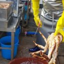 대게나라아중점 이미지