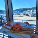 영덕북부수산업협동조합 | 영덕 현지인 맛집 축산항대게궁 애견동반 여행코스