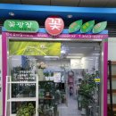 마곡꽃광장 이미지