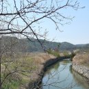 각시랑칼국수 Daum카페