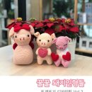 꿀꿀돼지 이미지