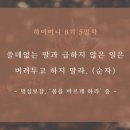 라이프 하이 이미지