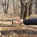 우남공인중개사 사무소 이미지