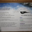 선반내천지연무태장어