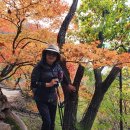 고향꽃화원 이미지