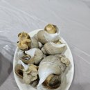 막내회센타 이미지