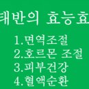 피누스스토어 일류 이미지