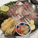 인어공주해물포차 네이버블로그