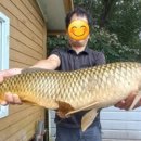 탑전낚시터 이미지