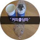 카페담따 이미지