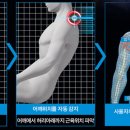 라인의료기