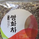 수원-0240 Daum카페