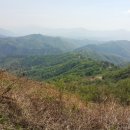 (주)원기산삼