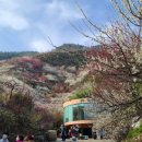 지리산 매화네 식품