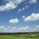 안성농장 이미지