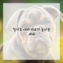 건강한 베이킹 네이버블로그