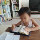 성미유치원 이미지