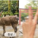 빠리안경원 이미지