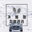 엠에스오토 이미지