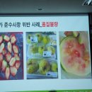 진주중부농협로컬푸드3호 이미지