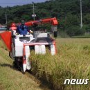 이백면 문화마을 이미지