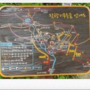 잣향기푸른숲 축령백림관 이미지