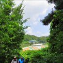 2019-07-02 / 대전 서구 도시그린공원 도솔산 이미지