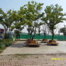 포동운동장 이미지