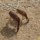 서울숲1 이미지