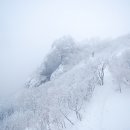 바람불어 좋은날 소백으로 가자 이미지