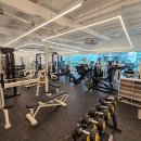 더 바른 더 강한 이미지