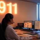 911 Service 이미지