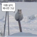 문동집 | 부산 기장 문동방파제 혼자 차크닉 후기