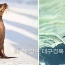 통구미 물양장 헤럴드경제