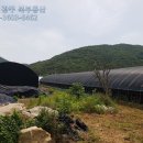 환영2농장 이미지