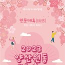원동매화미나리집