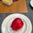 호텔오션뷰 | 괌 힐튼호텔 오션뷰 후기｜수영장·조식·이파오비치 위치 총정리