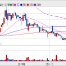 비즈메카코리아 이미지