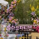 다온커피앤비어 | 대전 야외웨딩 스몰웨딩 베뉴 빌라드파티앤 | 나만의 무드를 담은 상담 후기 💍(계약 O)