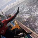 곰섬해수욕장 이미지