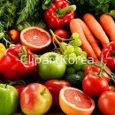 더찬스짐 역동점 이미지