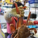 대포횟집 이미지